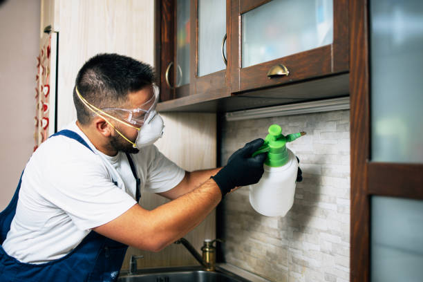 Best Pest Inspection Near Me  in Madison, MN
