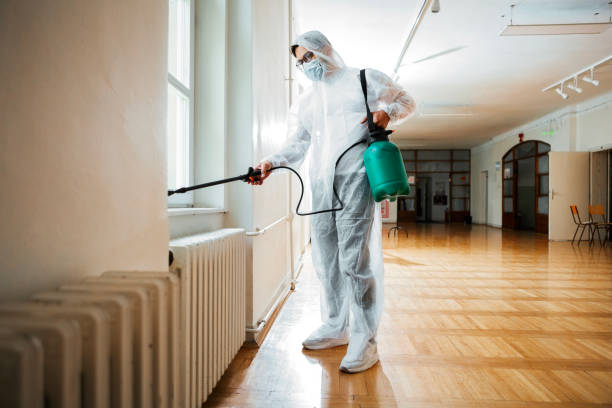 Reliable Madison, MN Pest Control Solutions